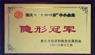 隐形冠军 隐形冠军